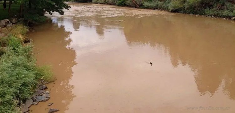 Sigue afectado el servicio de agua en General Mosconi y parajes