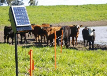 Salta entre las provincias que recibirán paneles fotovoltaicos para electrificar campos