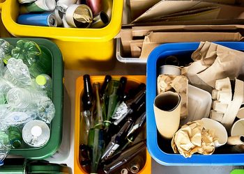 Residuos Sólidos Secos: la recolección diferenciada inicia en zona comercial céntrica