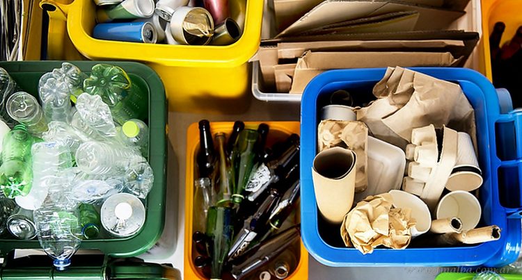 Residuos Sólidos Secos: la recolección diferenciada inicia en zona comercial céntrica