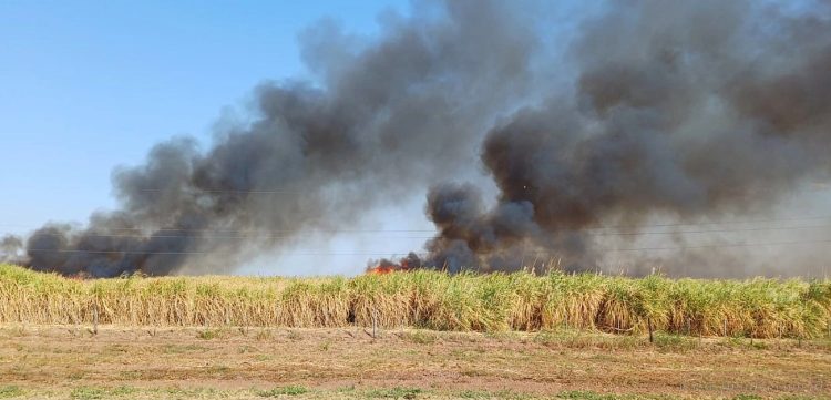 Quema de pastizales dejan sin energía a cuatro departamentos