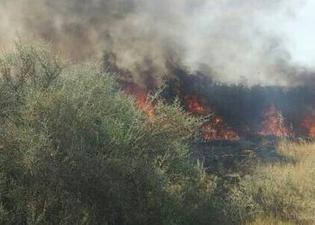 Tartagal sin comunicaciones ni internet por 9 horas