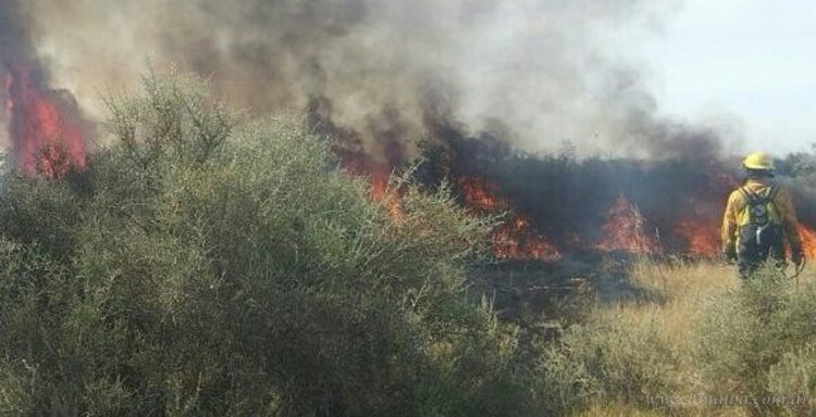 Tartagal sin comunicaciones ni internet por 9 horas