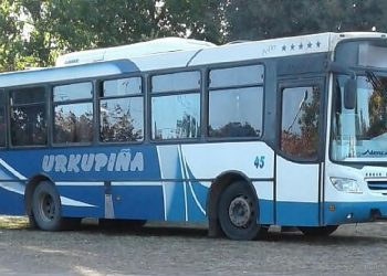 Transporte Urkupiña: cinco unidades prestan servicio en el corredor Tartagal-Salvador Mazza