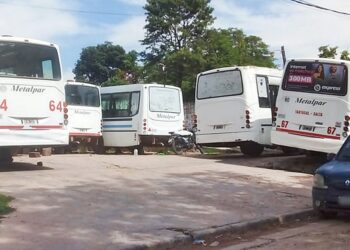 Transporte urbano: choferes aseguran que el paro se levantó pero servicio continúa paralizado