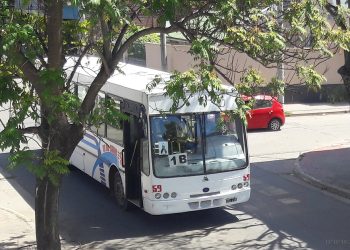 Transporte público: el paro se extiende ante despidos de personal