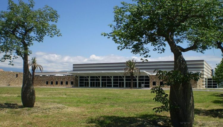 Elecciones Salta 2023: intendentes y concejales electos reciben sus diplomas