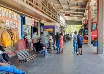 Terminal de Ómnibus: empleados y viajantes se quejan por baños químicos