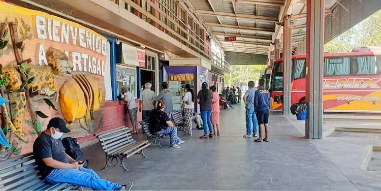 Terminal de Ómnibus: empleados y viajantes se quejan por baños químicos