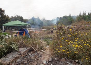 B° Norte  Grande: familias jóvenes ocupan predio