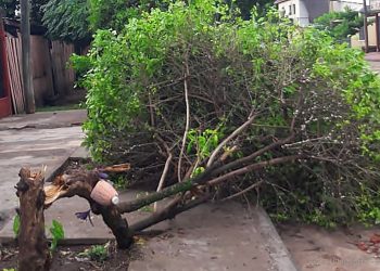 Rolando Álvarez: “Fue una lluvia muy atípica, despareja”