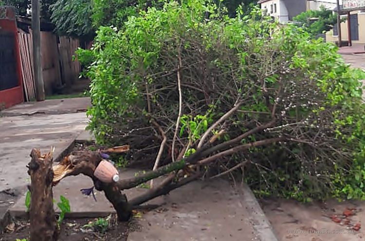 Rolando Álvarez: “Fue una lluvia muy atípica, despareja”