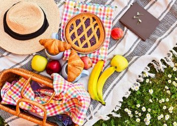 Paseo Aníbal Nazar: ofertas educativas y emprendimientos por el Día Mundial de la Juventud