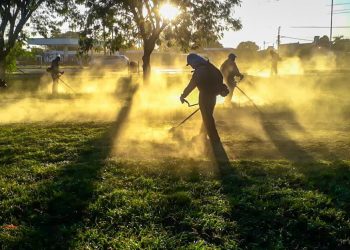 Dengue: presentarán campaña de participación comunitaria en conferencia de prensa