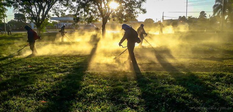 Dengue: presentarán campaña de participación comunitaria en conferencia de prensa