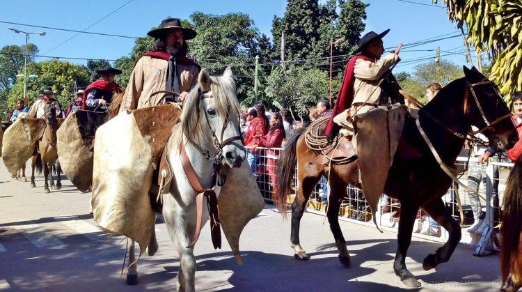 Encefalomielitis equina: peregrinación del 8 de Diciembre, sin caballos