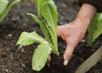 Proyectos productivos: abren inscripciones para otorgar microcréditos en Tartagal