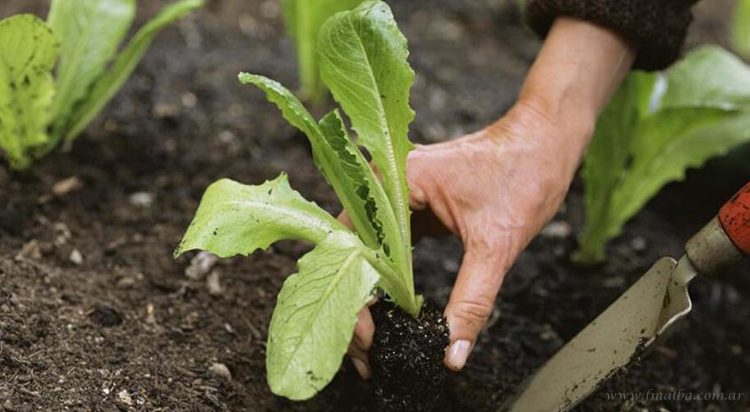 Proyectos productivos: abren inscripciones para otorgar microcréditos en Tartagal
