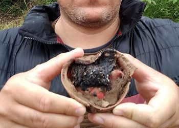 Ruta Nacional 86: nuevo hallazgo de boosters sísmicos