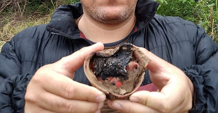 Ruta Nacional 86: nuevo hallazgo de boosters sísmicos