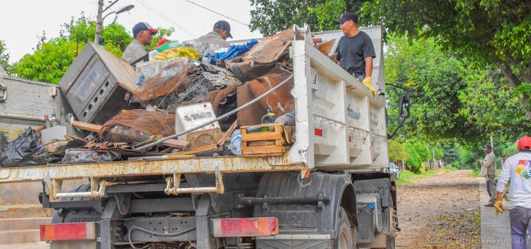 Salud: casos de dengue en Salta ascienden a 156