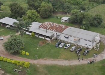 Llamado a licitación de obras y equipamiento para el Matadero Municipal