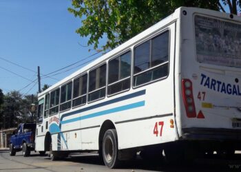 Transporte público: audiencia entre partes en conflicto en Salta Capital