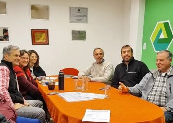 Tarifas eléctricas: madereros se suman a gestiones para aliviar el impacto en el sector