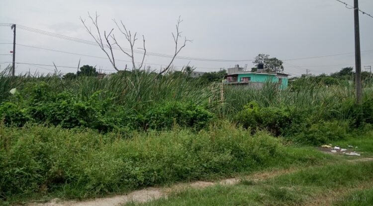 Tartagal: “El dueño del terreno aseguró que lo había vendido”