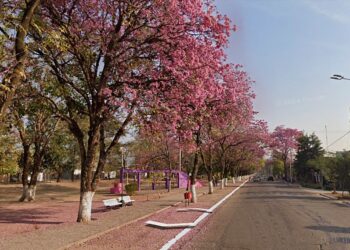 Fin de semana extra largo en Tartagal