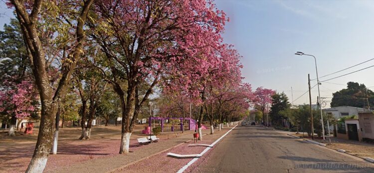 Fin de semana extra largo en Tartagal