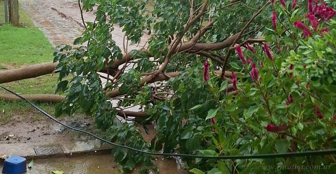 Temporal en el norte: el servicio eléctrico se restableció a más del 90% de usuarios afectados