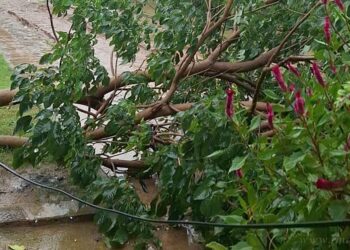 Temporal en el norte: el servicio eléctrico se restableció a más del 90% de usuarios afectados