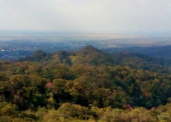 Tartagal: 1 al 7 de junio, Semana del Ambiente