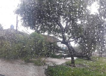 Temporal en Orán afectó el servicio de energía en varias localidades