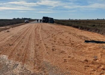 Virgen de la Peña: camión de carga pierde la totalidad de su carga de maíz