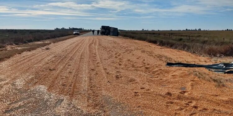 Virgen de la Peña: camión de carga pierde la totalidad de su carga de maíz