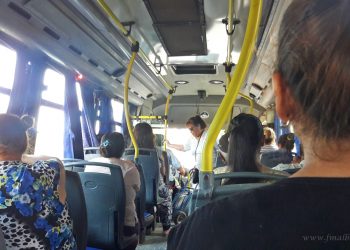 País: el transporte público será gratuito los días de las elecciones