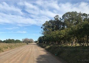 Santa Victoria Este: AMT aprobó viajes a Transporte Tejadas SRL