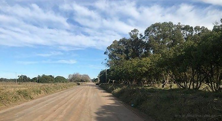 Santa Victoria Este: AMT aprobó viajes a Transporte Tejadas SRL