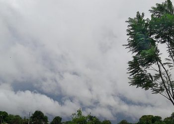 Tartagal: mínima de 13 grados en pleno febrero