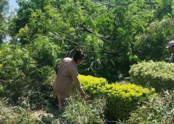 El servicio de energía se recompone paulatinamente en Mosconi y Salvador Mazza