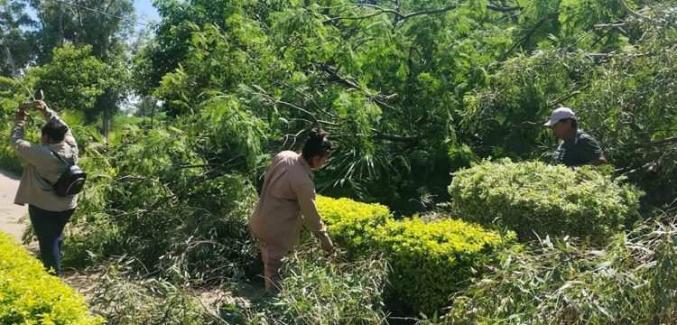 El servicio de energía se recompone paulatinamente en Mosconi y Salvador Mazza