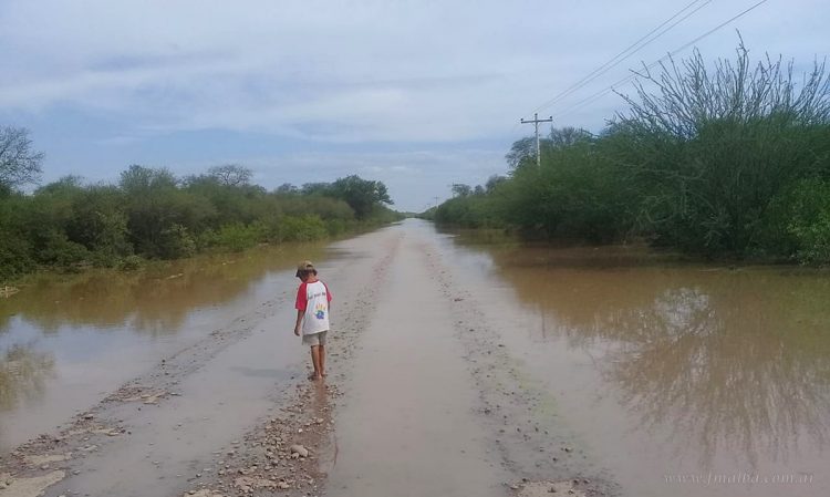 Santa Victoria Este: desborde del Pilcomayo dejó incomunicadas Monte Carmelo y La Puntana