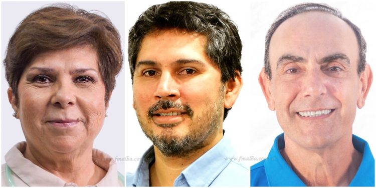 Elecciones Salta 2021: Paredes, Vargas y Restom los nuevos diputados provinciales