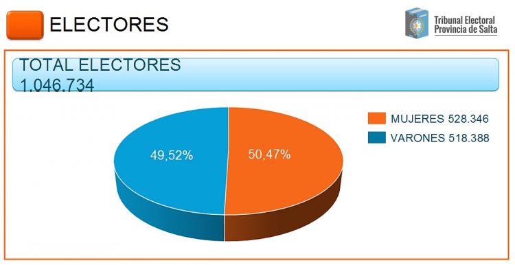 Elecciones Salta 2021: perfil del electorado, presentado por el Tribunal Electoral