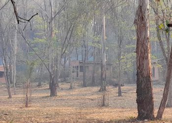 Santuario Virgen de la Peña: fiscal penal Medina investiga un supuesto incendio intencional