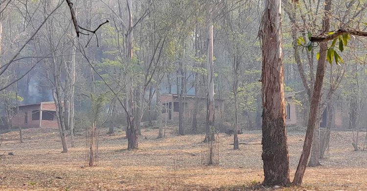 Santuario Virgen de la Peña: fiscal penal Medina investiga un supuesto incendio intencional