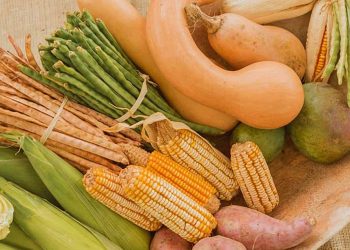 Yariguarenda: 14° Feria de Intercambio de Semillas, este fin de semana